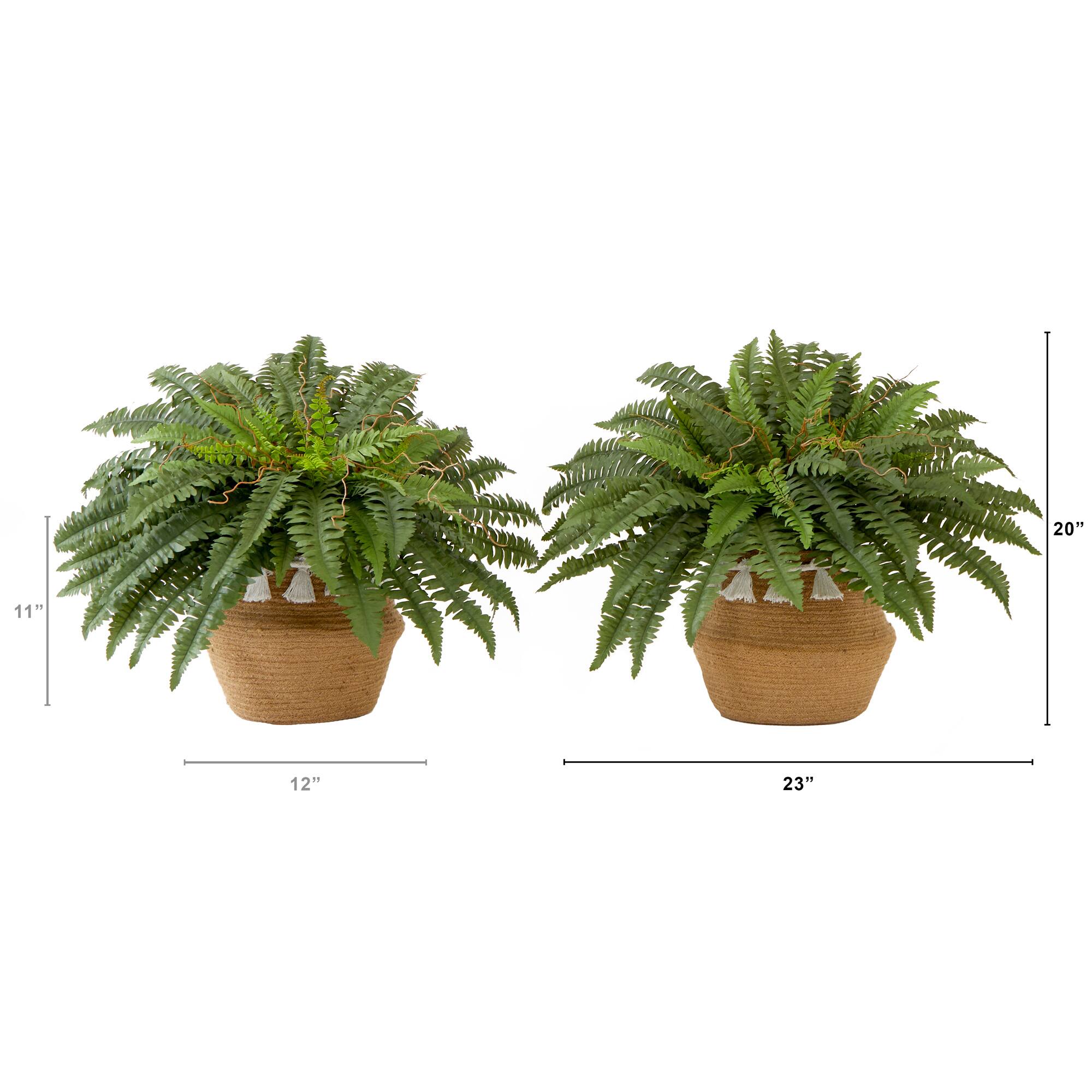 23" Artificial Boston Fern Plant with Handmade Jute & Cotton Basket with Tassels